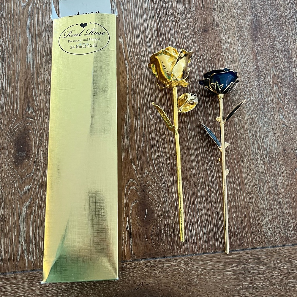 Gold dipped roses (2)